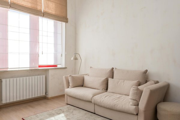 Comment protéger vos cultures des ravages de la mouche des terreaux