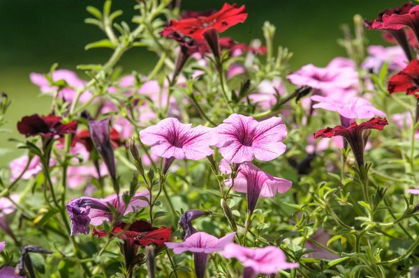 Découvrez comment transformer votre maison avec des solutions écologiques innovantes !