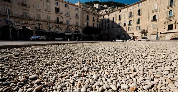 Débroussaillage à marseille : préservez votre espace et votre sécurité
