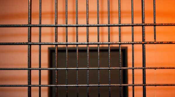 Grillages rigides : 5 avantages pour sécurité et design